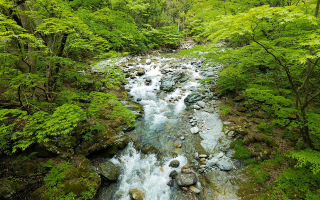 Gensen Yunoyado Matsunoi Ryokan
