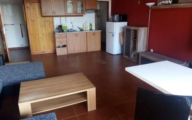 Apartmán v arealu Doky Lipno