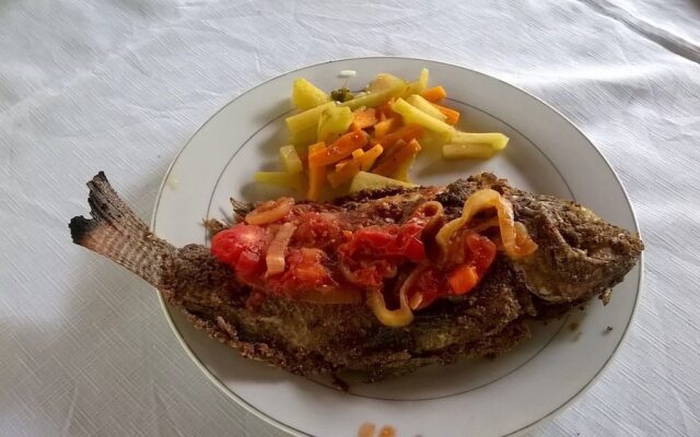 Hotel Ecológico Tierra Blanca