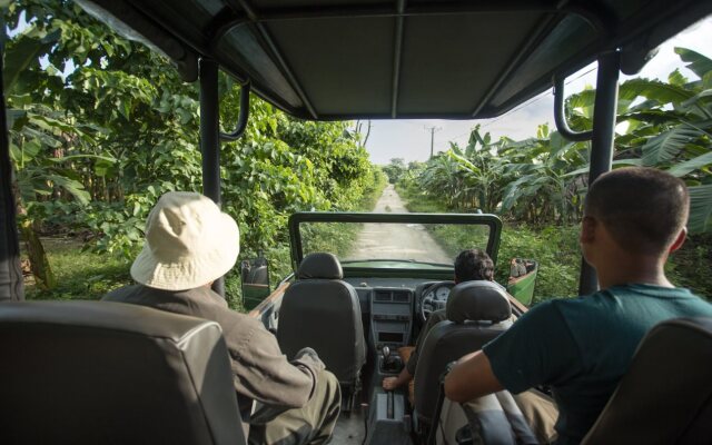 Kasara Jungle Lodge