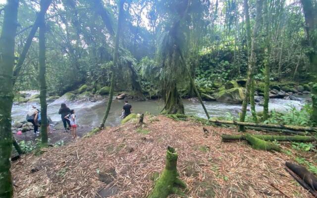 Finca el castillo- Villa Emilia