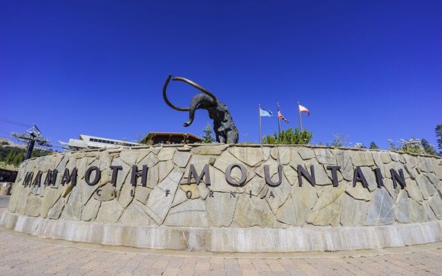 Meadow #16 - 3 Br Condo