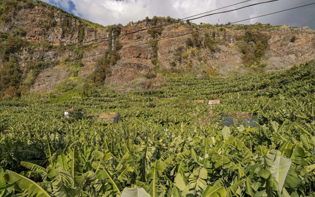 Oscar's House by An Island Apart