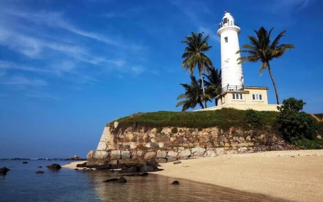 Lighthouse Guest