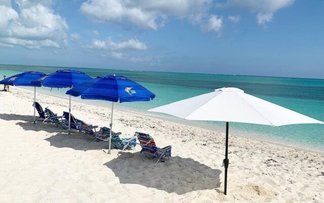 The White House TCI