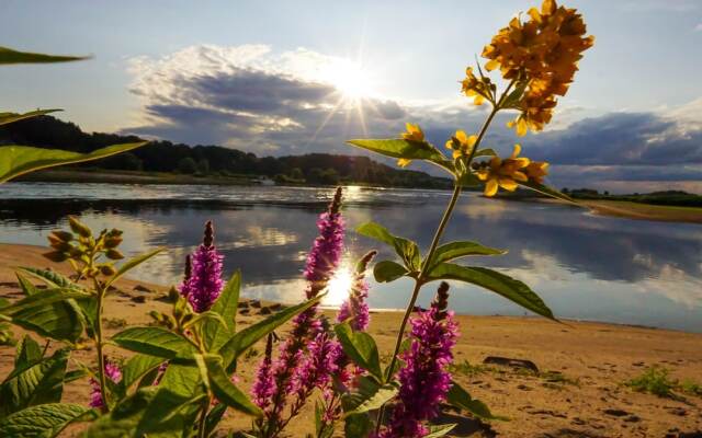 Sonnenhof Damnatz -Hotel garni-