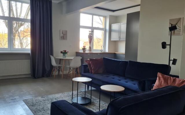 ReHouse Vokieciu str.9, 2 bedroom