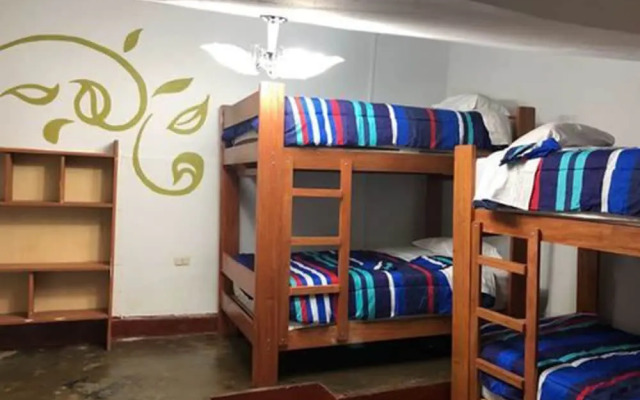 Déjà Vu Backpackers