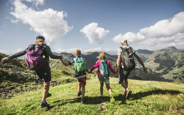 AlpenParks Chalet & Apartment Steve Lodge Viehhofen