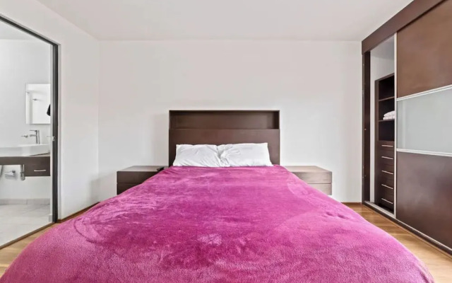 Spacious Apt Near Centro Historico