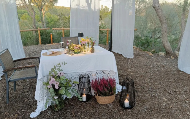 Treurer Olive Grove & Grand House - Adults Only