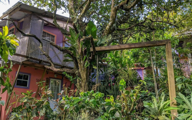 Tony & Aldona's Retreat
