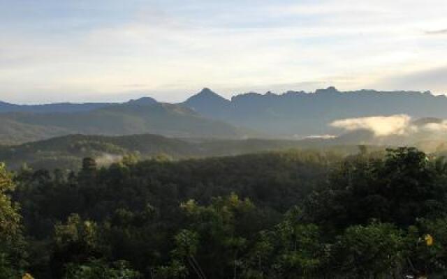 Bio Veda Ayurvedic Hill resort