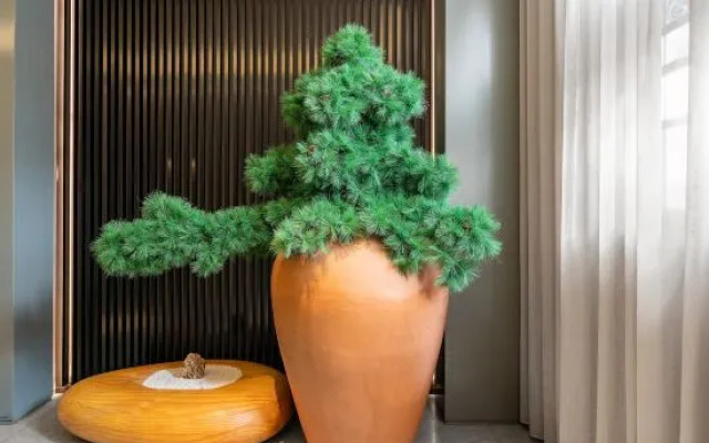 Sushi Light Luxury Hotel