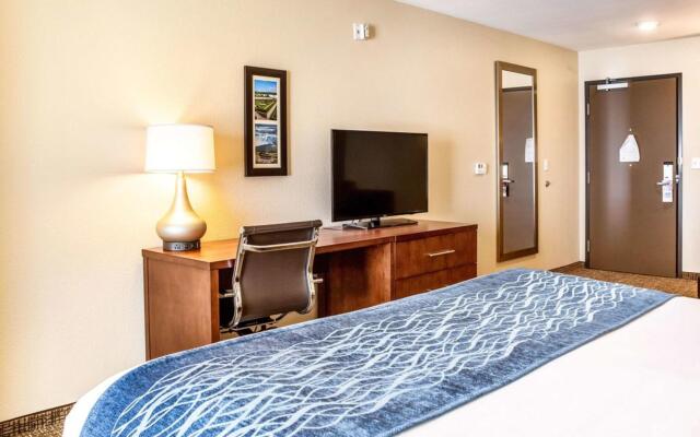 Comfort Inn & Suites Niagara Falls Blvd USA