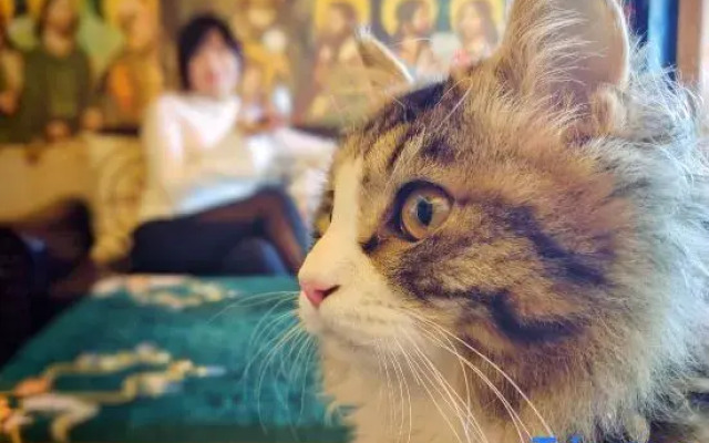 Yichao Service Apartment (Beijing Sanlitun Workers' Stadium)