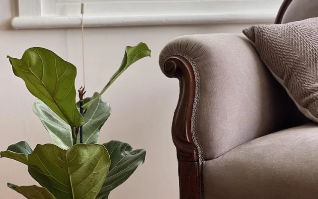 Stunning Victorian Mansion Apartment