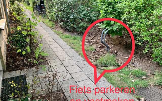 Wilde Moeflon, geniet van de vrije natuur!