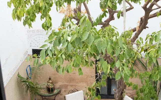 Riad Amegrad
