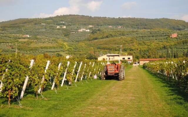 Agriturismo Corte Moranda
