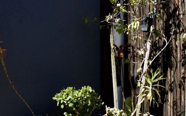 The Drawing Rooms on 2nd