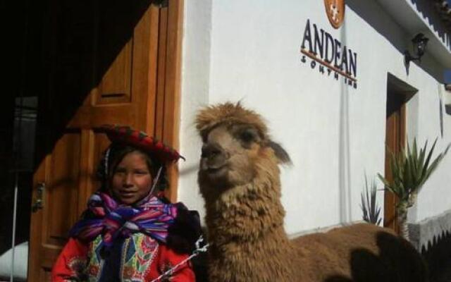 Andean South