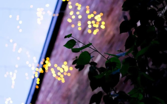 The Eden Warehouse - Pink Apartment (sleeps 4)