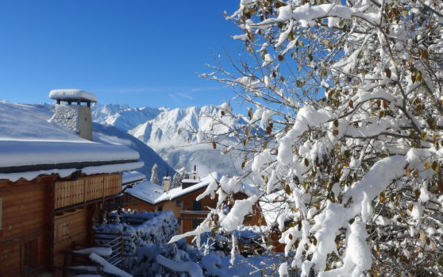 Apartment Boule de Neige