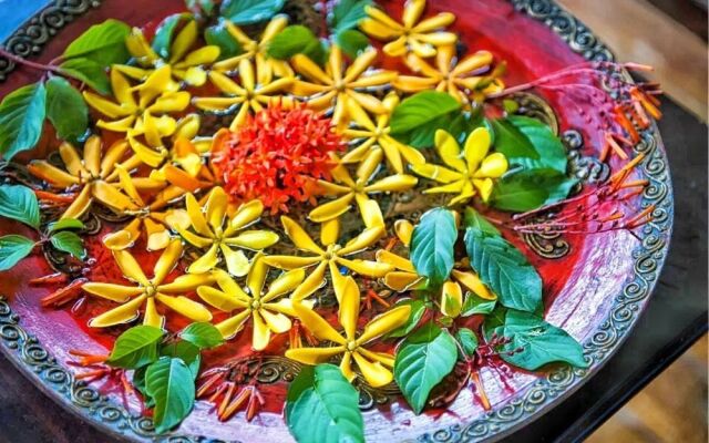 Xishuang Banna Elephant Home Boutique Guest House