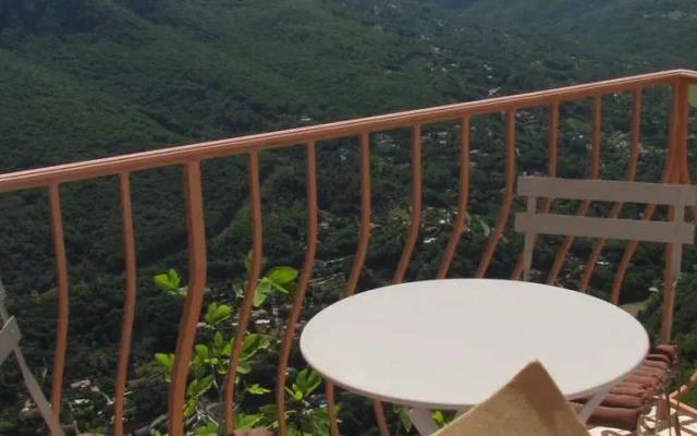 Panoramic House