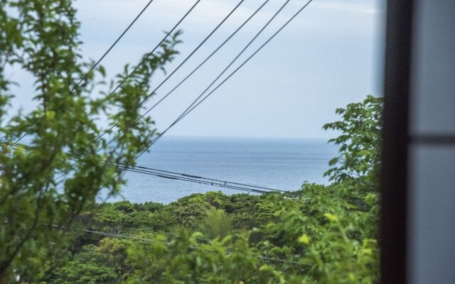 Shobuzawa Log