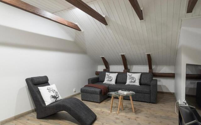 Unique open space loft studio in the attic