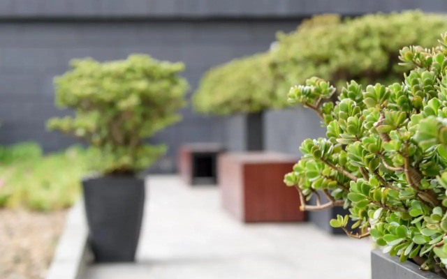 City Express Plus by Marriott Bogota Aeropuerto