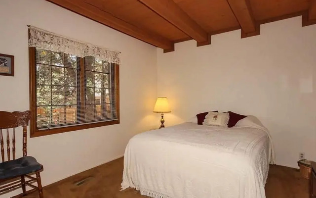 Cozy Bear Lair by Big Bear VR