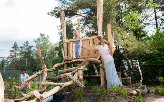 Veluwe Forest Villa With Comfort
