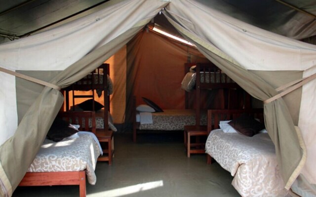 Wildebeest Eco Camp