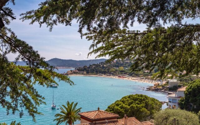 Les Floralies II 7496