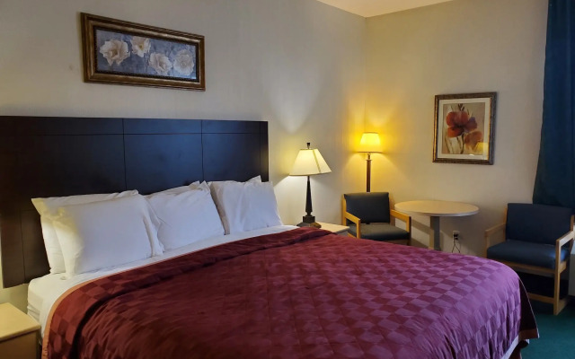Bellis Inn