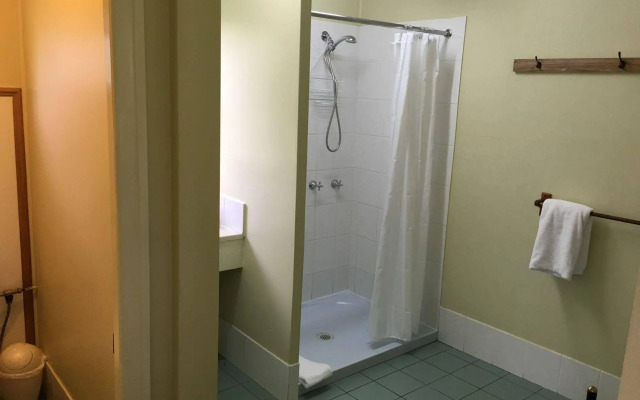 Coconut Palms on the Bay