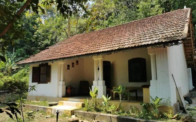 Jungle house