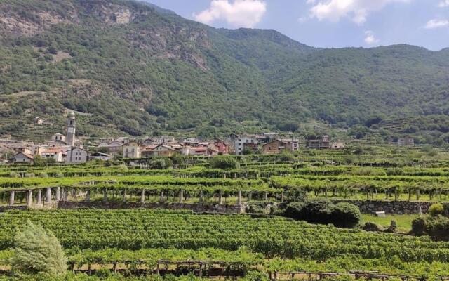 La casa dei nonni 3,0