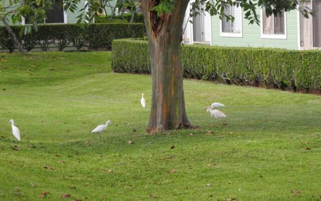 Shirleys Townhouse in Mililani