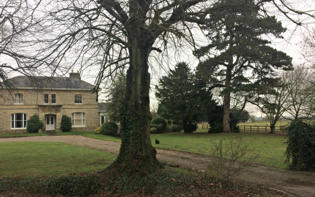 Walltree House