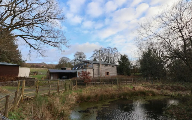 The Chicken Coop
