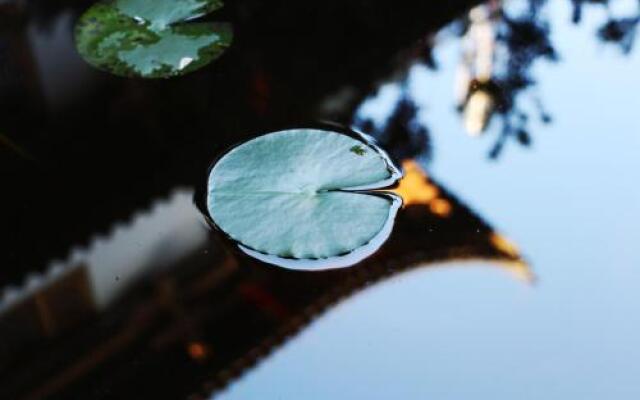 Yunan Lotus Garden Hotel