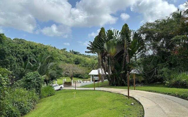 The Serene House Bed & Breakfast