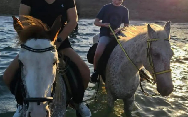 Royal Blue private swimmingpool Villa