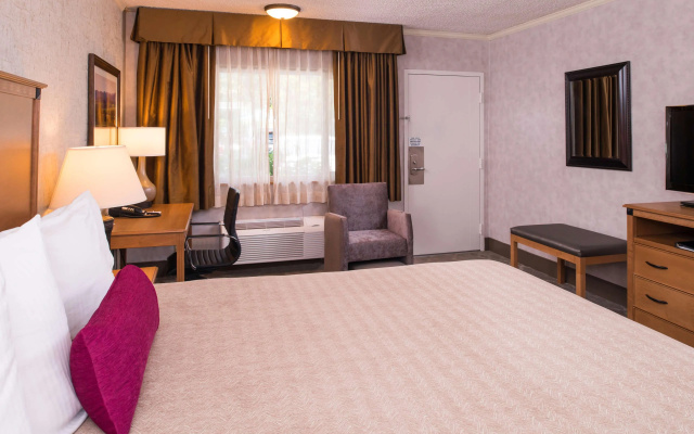 Best Western Plus Black Oak