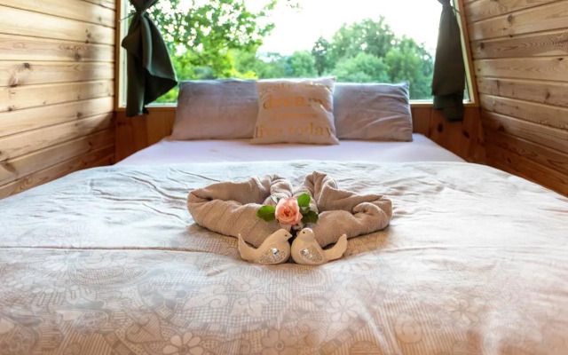 Glamping Health Resort