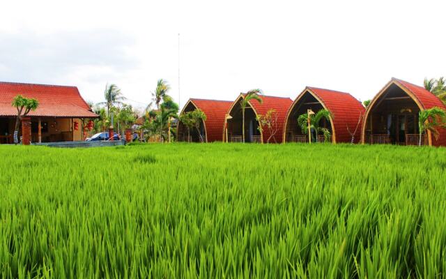 Umma Bali Menjangan